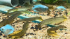 Yellow Spiny Eel (Pair)